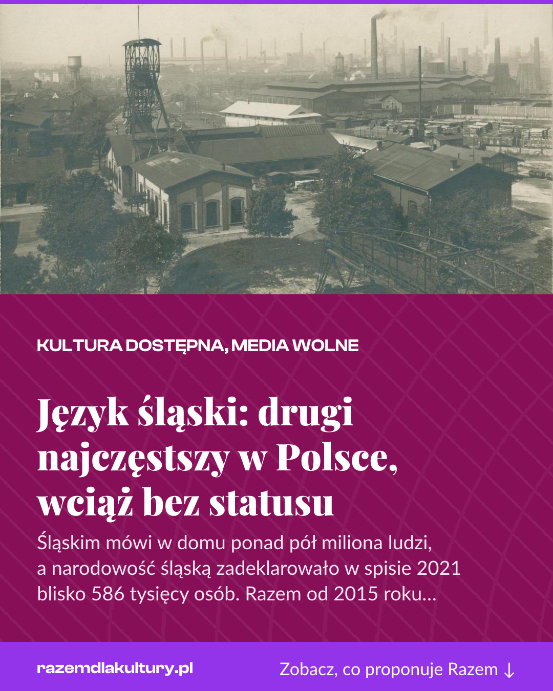 Grafika pionowa do udostępnienia: Język śląski: drugi najczęstszy w Polsce, wciąż bez statusu